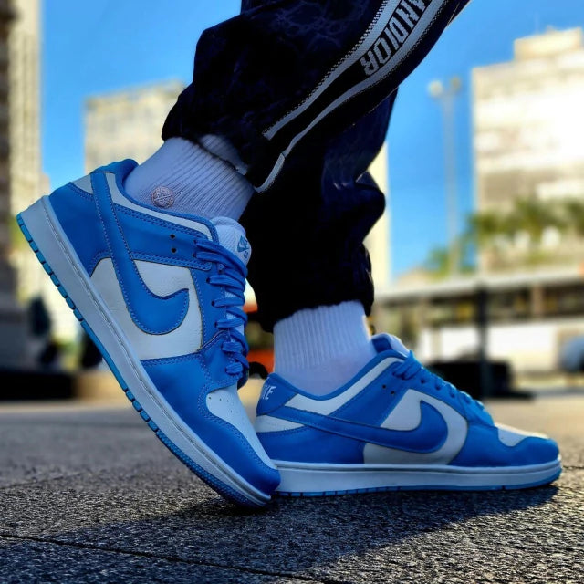 Tênis Nike Dunk SB - Branco e Azul